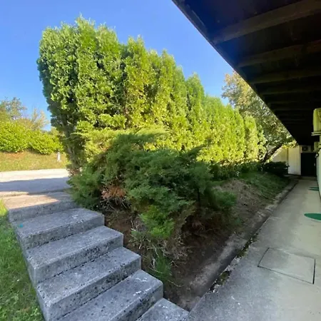 Camp *